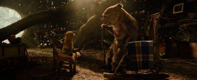 cuplikan film Paddington in Peru (dok. Sony Pictures)