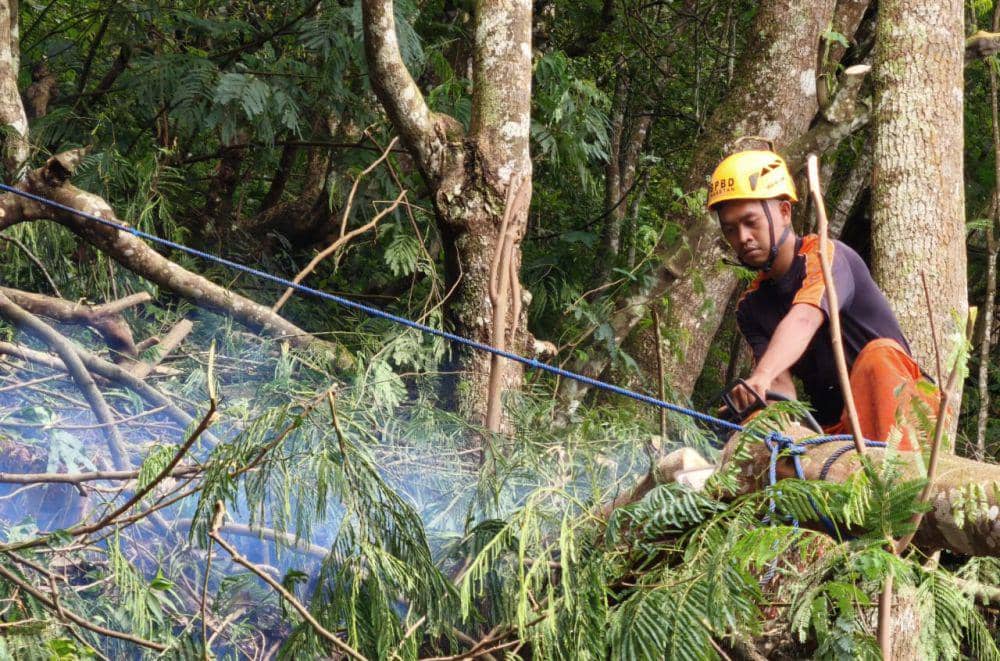 Diterjang hujan angin pohon kaliandra tumbang timpa kios di Sarangan. IDN Times/ Istimewa..