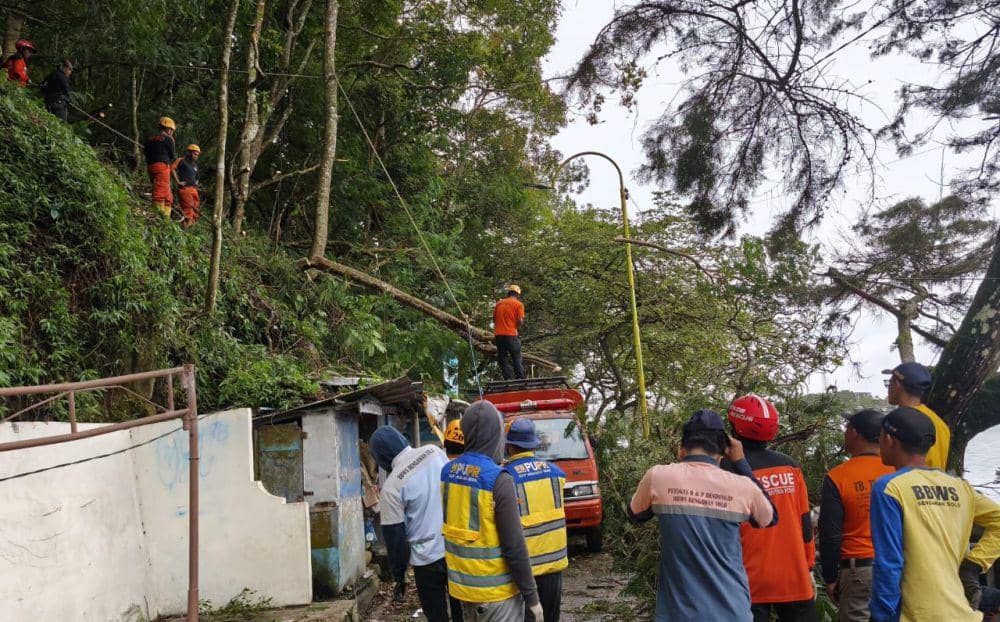 Lagi, Kios Tertimpa Pohon Tumbang di Telaga Sarangan Magetan