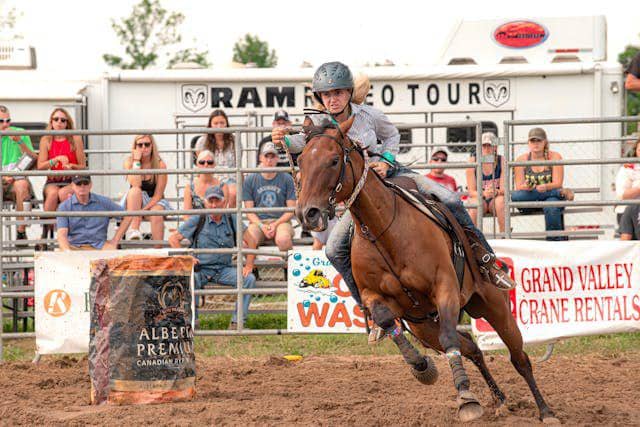 ilustrasi menunggangi kuda (pexels.com/@coldbeer)