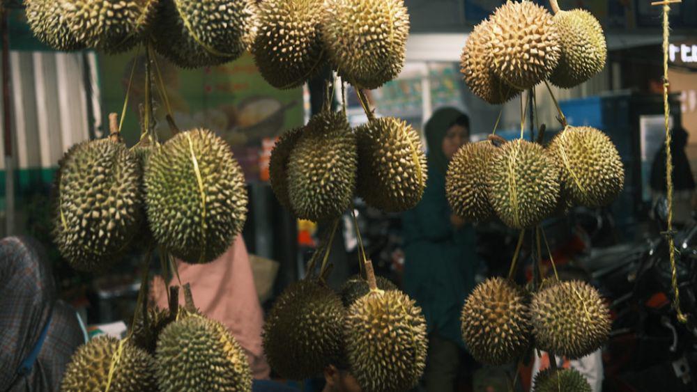 Festival Durian di Sleman Digelar Akhir Bulan, Ini Biaya dan Aturannya