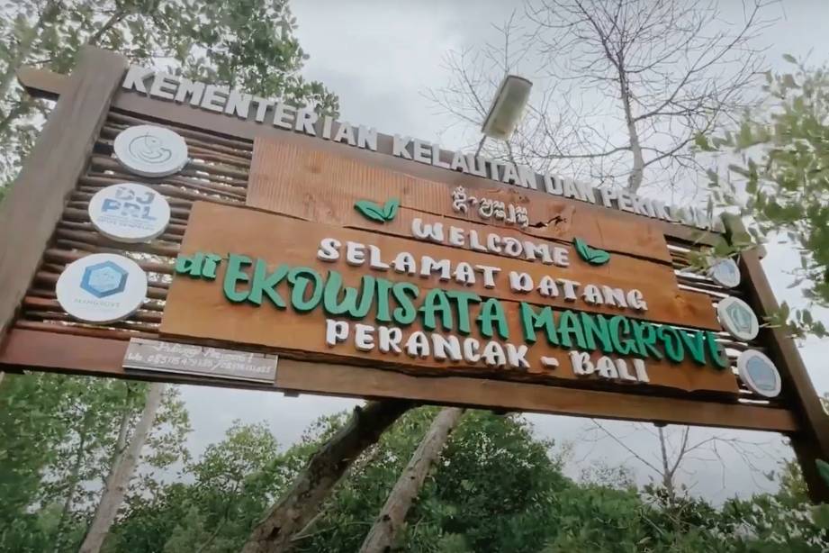 Kawasan ekowisata mangrove Desa Perancak (youtube.com/Desa Perancak)