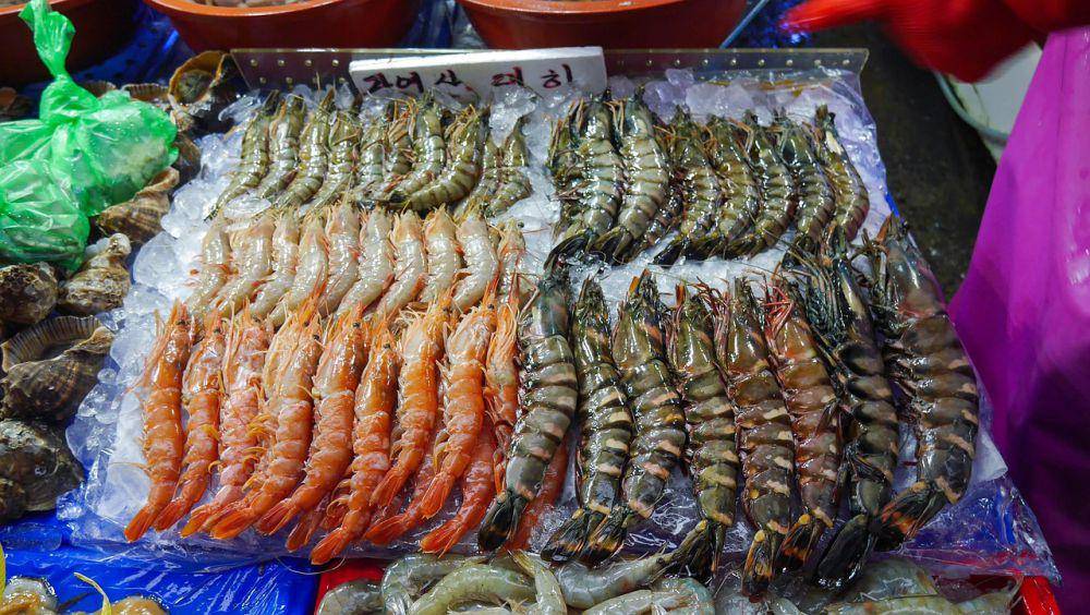 ilustrasi udang segar (pixabay.com/Punnatorn -)