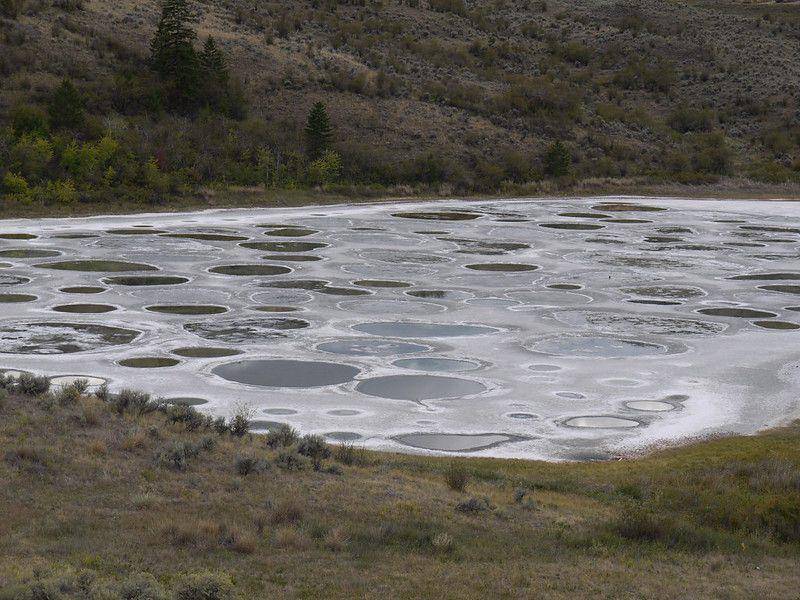 ilustrasi Spotted Lake (flickr.com/Hardo Müller)
