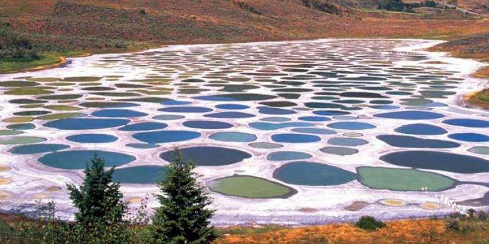 ilustrasi Spotted Lake (Charismaticplanet.com)