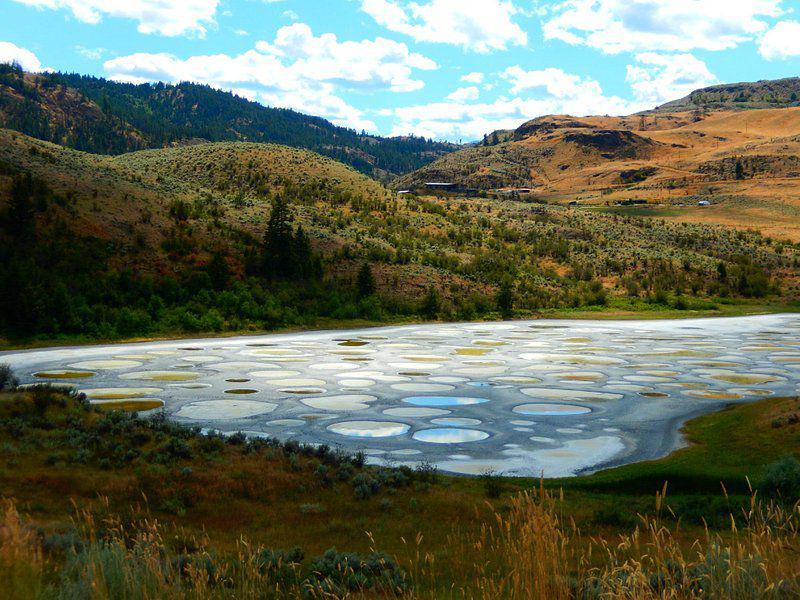 5 Fakta Spotted Lake, Danau Polkadot di Kolombia