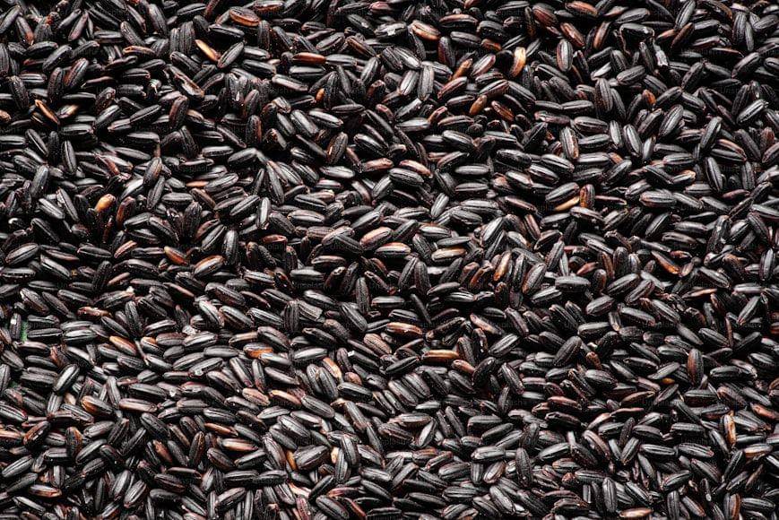 potret beras ketan hitam (unsplash.com/Olimpia Davies)