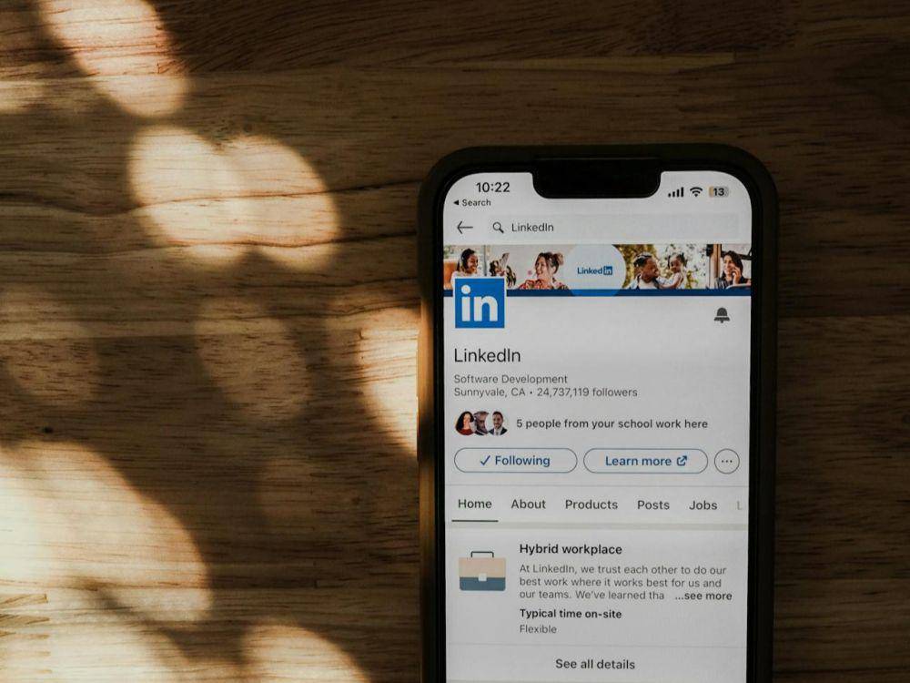 ilustrasi LinkedIn (pexels.com/Airam Dato-on)