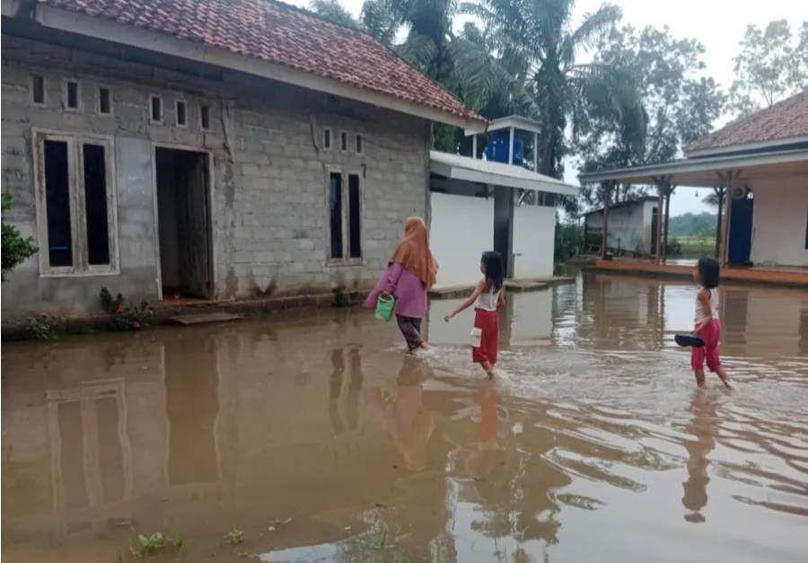 Lagi, 504 Rumah dan 1.280 Ha Sawah di Tulang Bawang Terendam Banjir