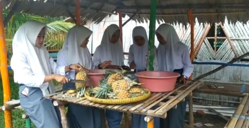 SMK di Muara Enim Kembangkan Nanas untuk Mulok Pangan Lokal