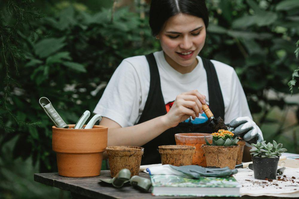 7 Tanaman Hias yang Bisa Diperbanyak dengan Stek Daun