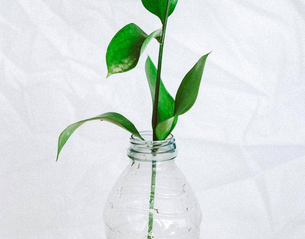 ilustrasi pot dari botol plastik (pexels.com/Lisa Fotios)
