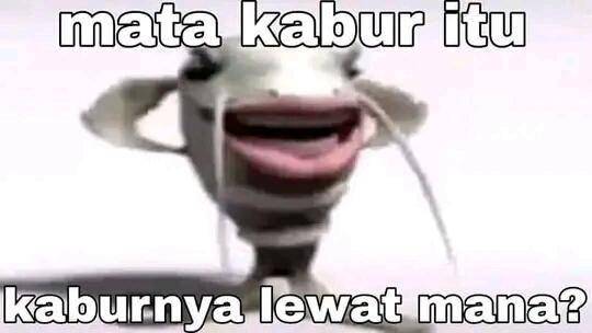 Meme pertanyaan (x.com/syzeeeee_)
