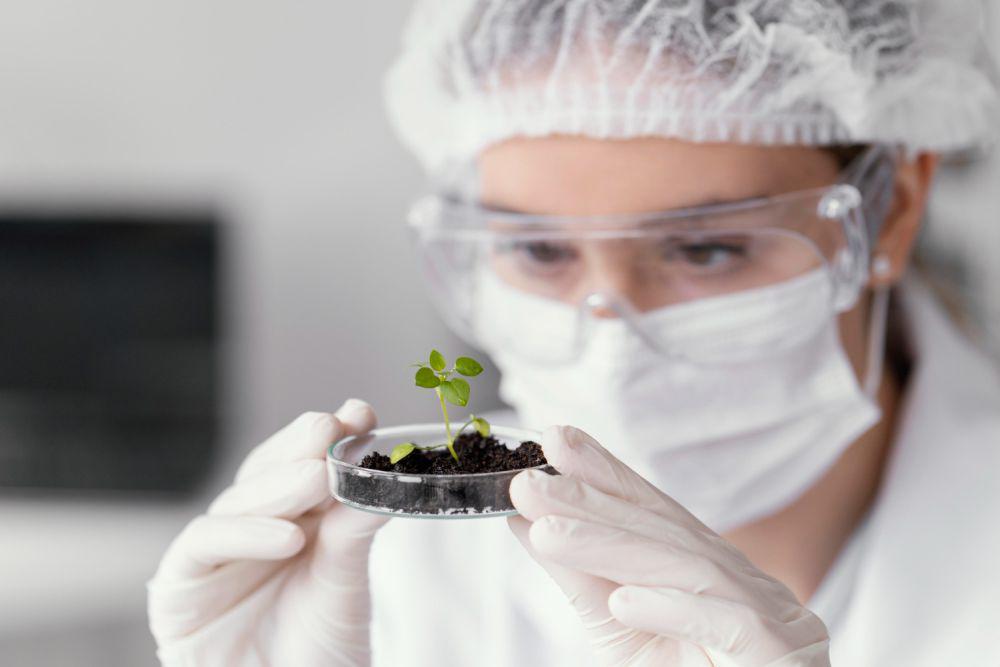 4 Mitos Seputar Tanaman GMO, Cek Faktanya!