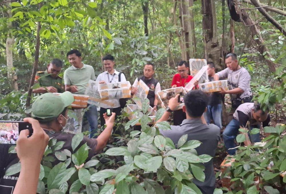 Pengungkapan 464 ekor burung di Pelabuhan Bakauheni oleh petugas Karantina Lampung. (Dok. Karantina Lampung).