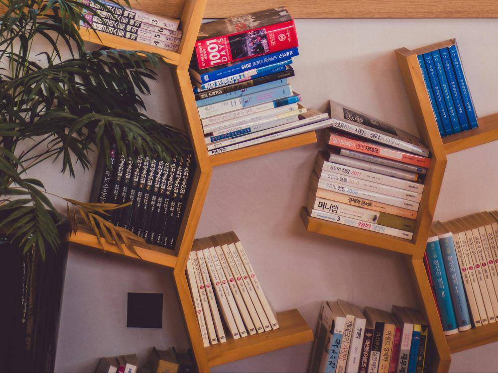 ilustrasi rak buku minimalis (pexels.com/Esther)