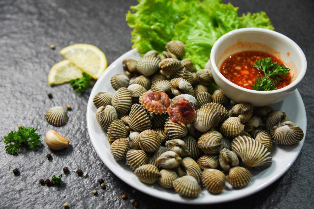 5 Risiko Mengkonsumsi Kerang Dara yang Wajib Kamu Tahu