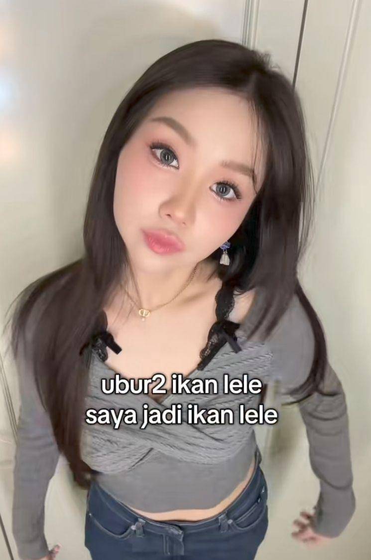 Jokes pantun 'Ubur-ubur Ikan Lele' (TikTok.com/vilmeijuga)