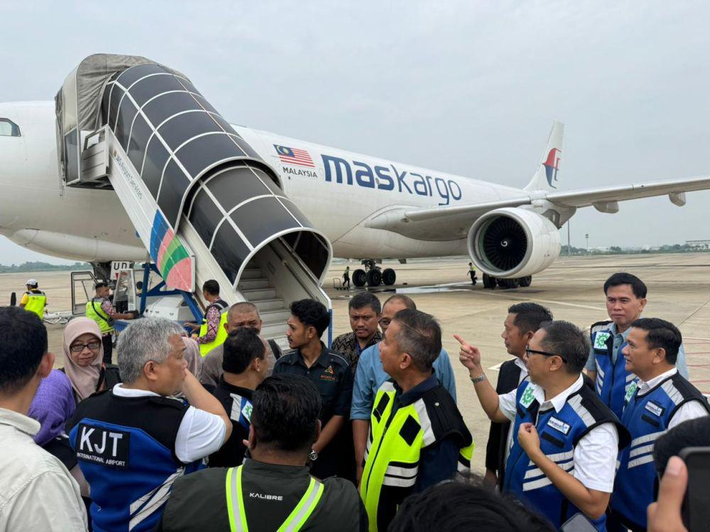 Perdana! 900 Ekor Domba Australia Dikirim ke BIJB Kertajati