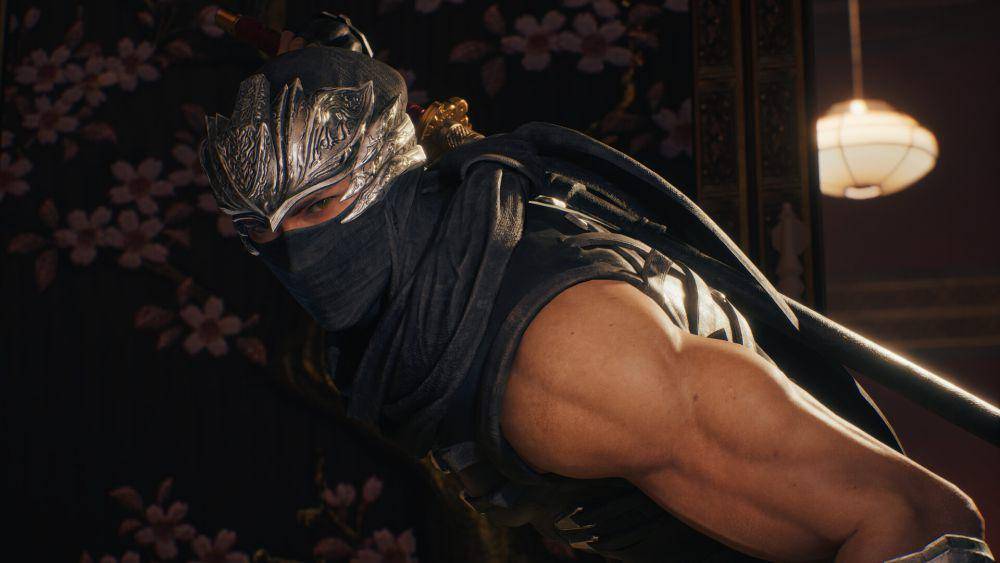 cuplikan Ninja Gaiden 2 Black (dok. Koei Tecmo/Ninja Gaiden 2 Black)