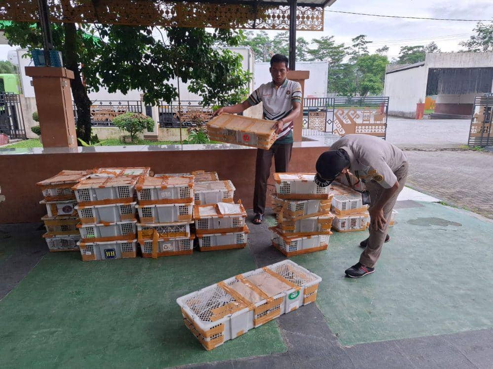 Tujuan Kios di Bekasi, 1.968 Ekor Burung Sumatera Disita di Bakauheni