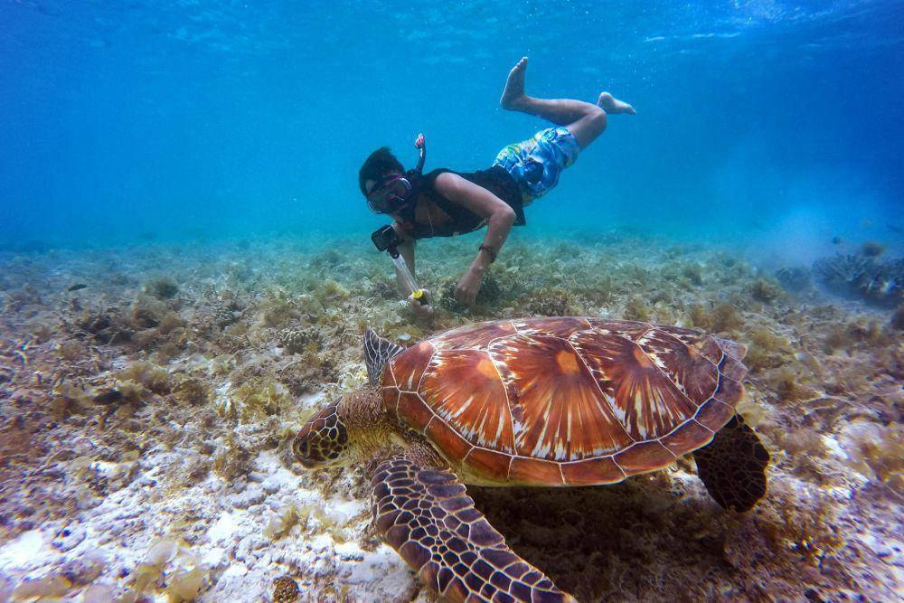 ilustrasi olahraga snorkeling (pexels.com/@cahilrom)