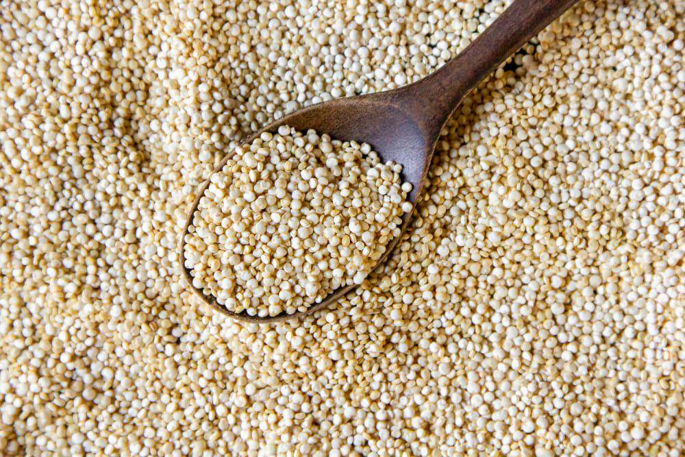 Ilustrasi quinoa (freepik.com/KamranAydinov)