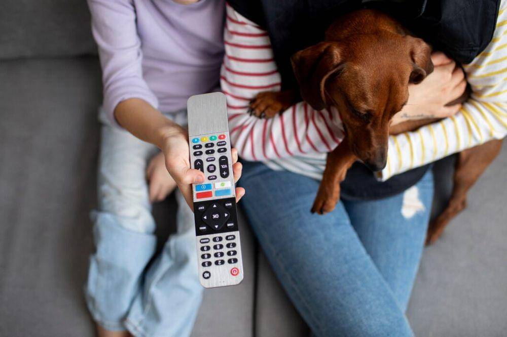 ilustrasi remote TV (freepik.com/freepik)