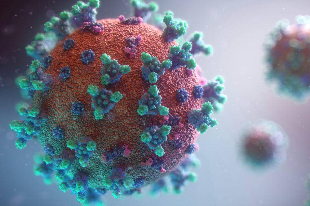ilustrasi virus tuberkolosis (unsplash.com/fusion_medical_animation)
