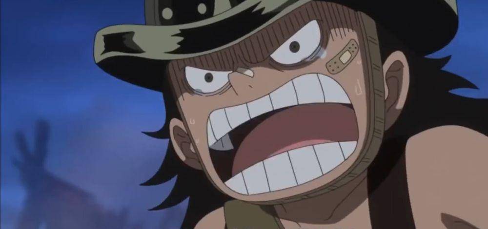 (Dok. Toei Animation/One Piece)