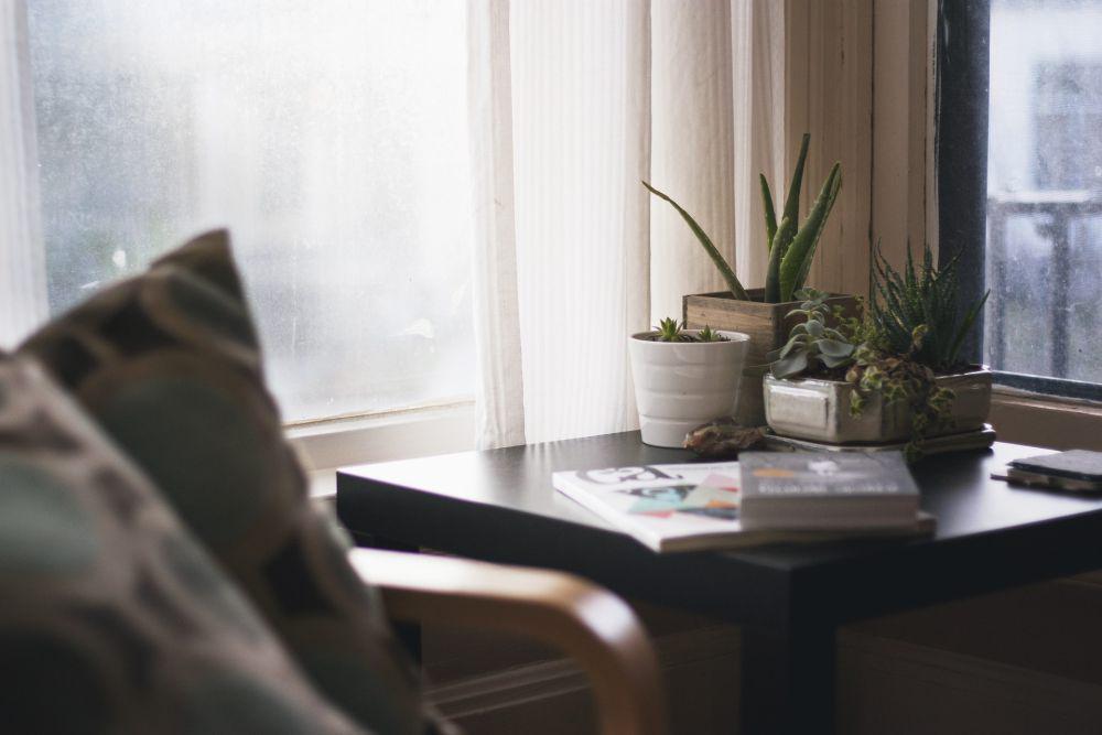 Menurut Feng Shui, Ini 5 Tanaman Hias yang Cocok untuk Kamar Tidur