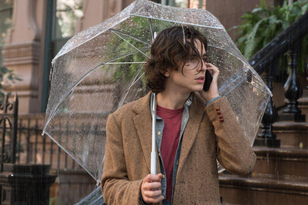 cuplikan adegan yang diperankan Timothée Chalamet (dok. MPI Media Group/A Rainy Day in New York)