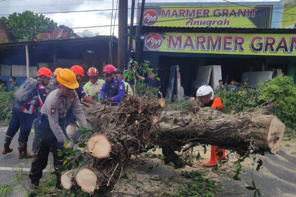 Proses evakuasi pohon tumbang di Jalan Raya Karanglo, Kabupaten Malang. (Dok. Polsek Singosari)