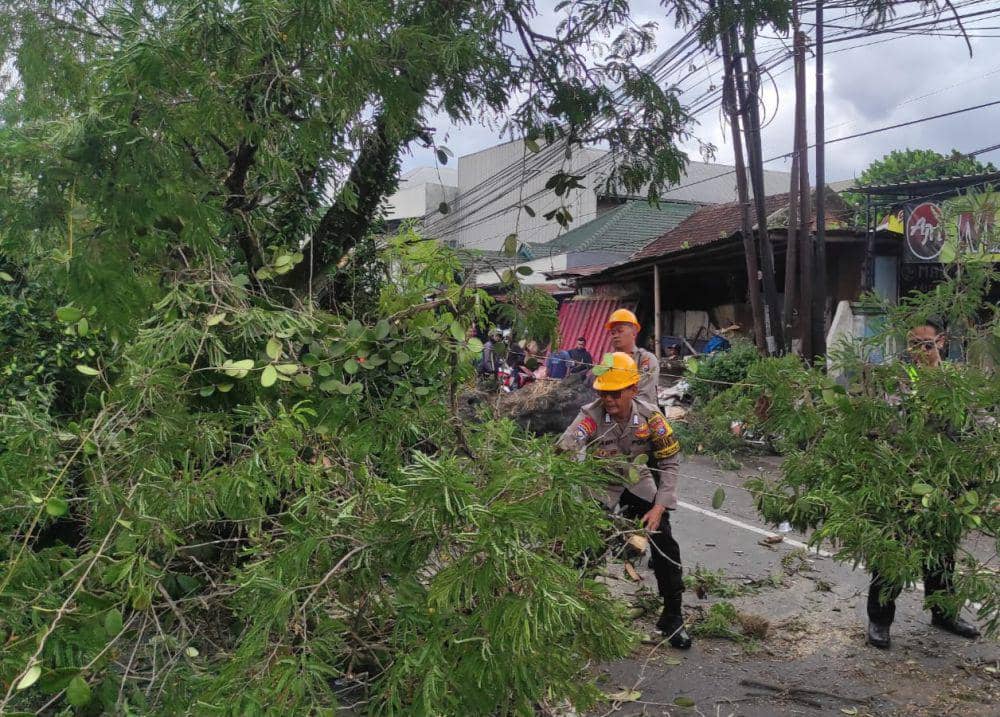 Proses evakuasi pohon tumbang di Jalan Raya Karanglo, Kabupaten Malang. (Dok. Polsek Singosari)