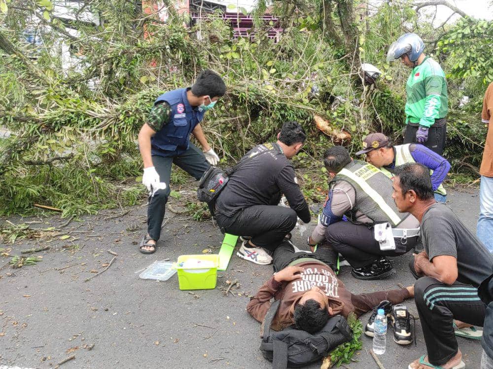 Pohon Tumbang di Malang Lukai 5 Pengendara Motor