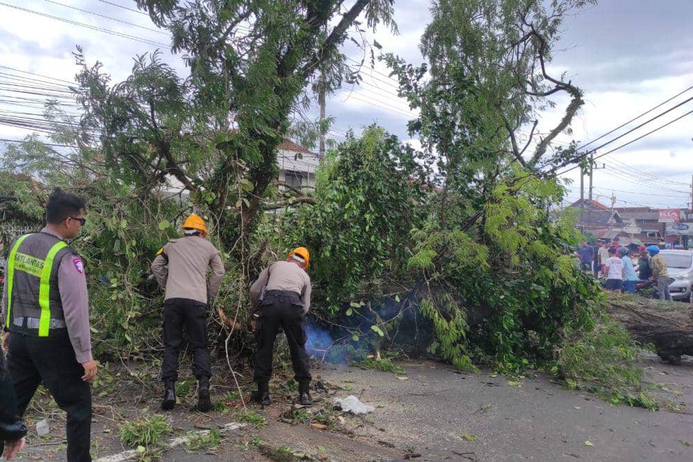Proses evakuasi pohon tumbang di Jalan Raya Karanglo, Kabupaten Malang. (Dok. Polsek Singosari)