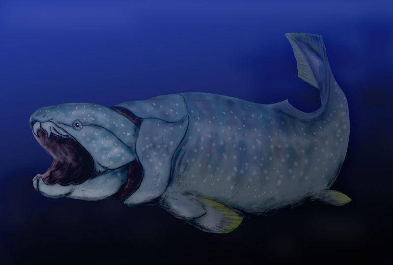 ilustrasi Dunkleosteus (commons.wikimedia.org/Nobu Tamura)