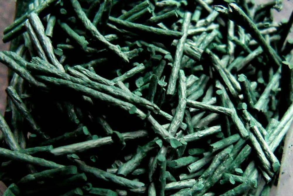 Peneliti Undip Semarang Klaim Pakan Spirulina untuk Udang Bisa Kurangi Impor