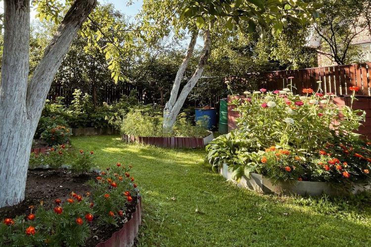 7 Tips Membuat Taman Rumah dengan Bujet Terbatas
