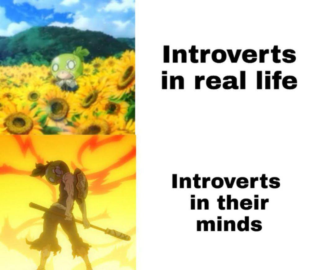 potret meme Suika Dr. Stone (reddit.com/user/Alex-Player)