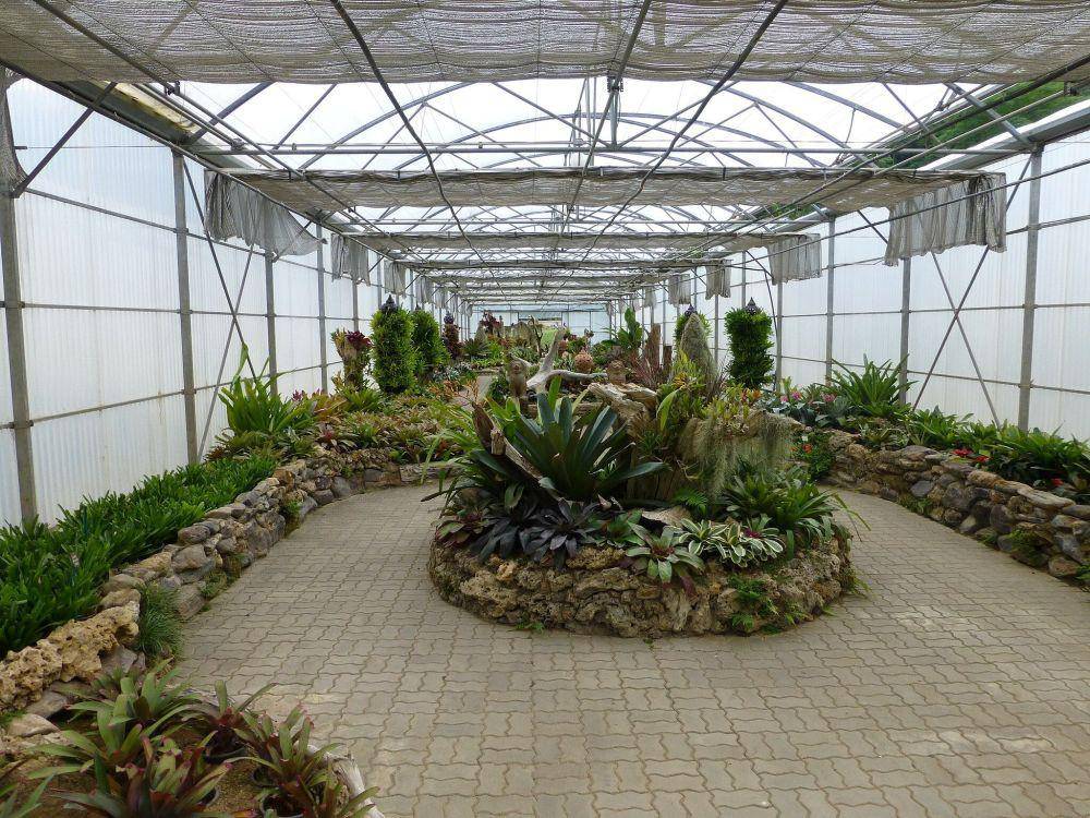 Queen Sirikit Botanical Garden di Thailand. Commons.wikimedia_Amada44