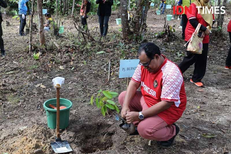 PJ Bupati PPU Zainal Arifin lakukan penanaman pohon di hutan kota (IDN Times/Ervan)