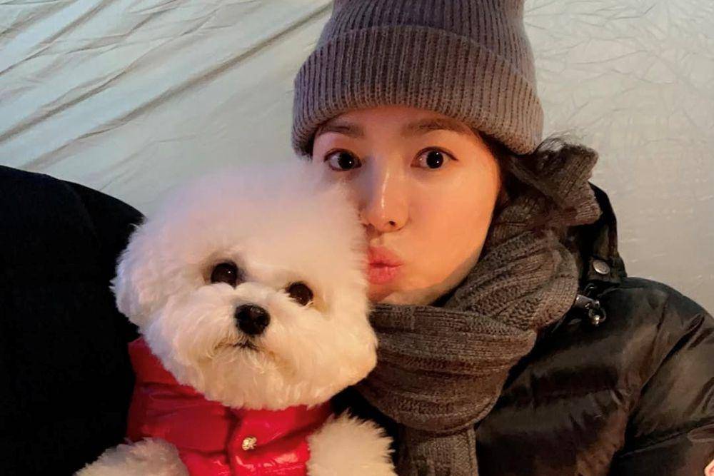 potret Song Hye Kyo bersama anjingnya (instagram.com/kyo1122)