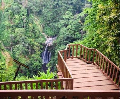 Wisata Kebun Kopi Senaru: Agrowisata dengan Panorama Menakjubkan
