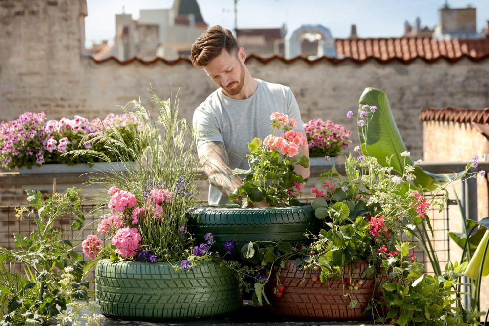5 Tips Berkebun di Rooftop untuk Pemula, Mudah dan Hemat Lahan
