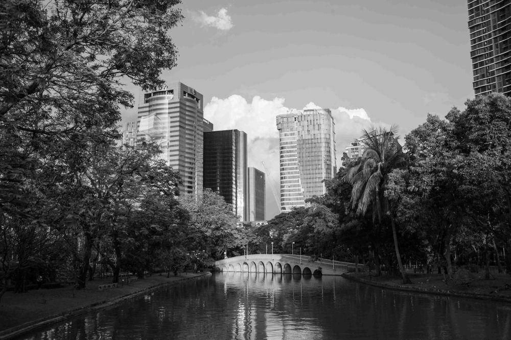 Chatuchak Park di Thailand. Pexels_Chanawat Lohachala