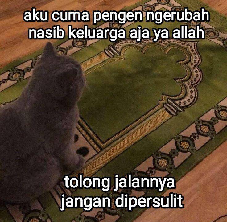 Meme hal yang bikin gelisah (x.com/halupulisi)