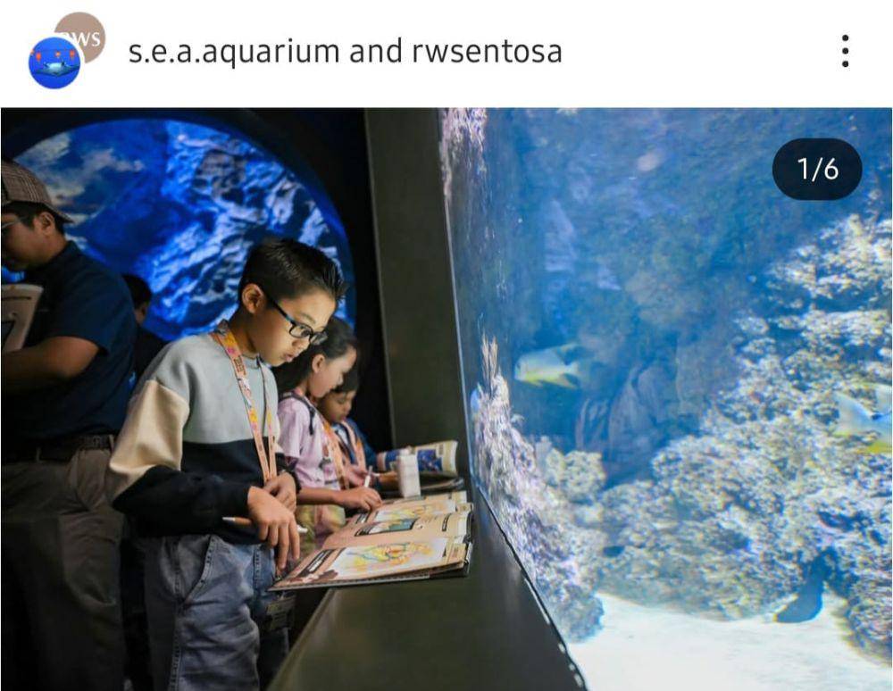 Singapore Oceanarium (instagram.com/s.e.a.aquarium)