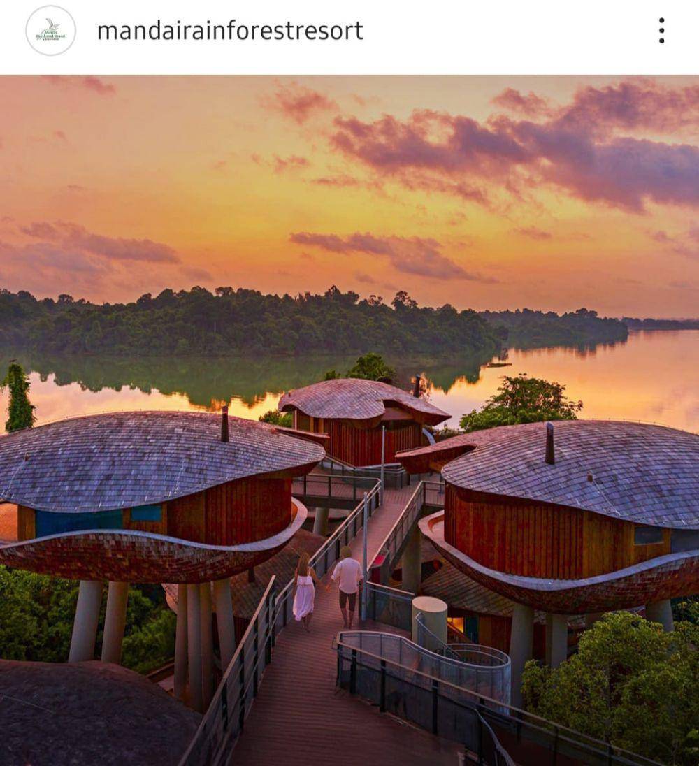 Mandai Rain Forest Resort, Singapura (instagram.com/mandairainforestresrot)