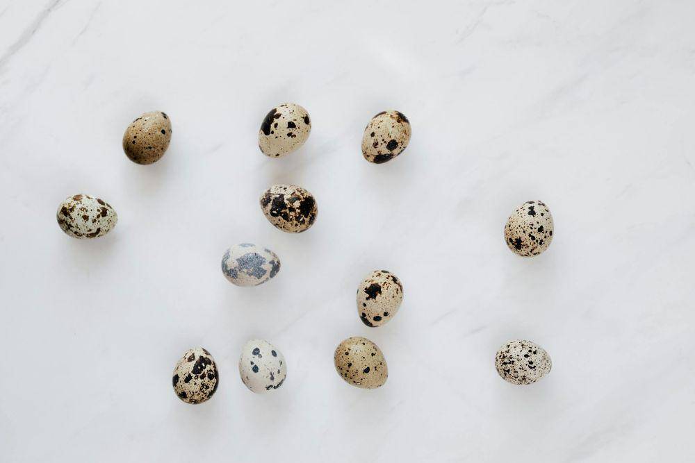 ilustrasi telur puyuh (pexels.com/Photo By: Kaboompics.com)